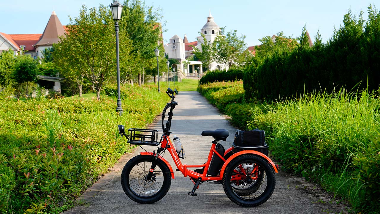 Insights Into Trending Electric Trike Accessories for 2025