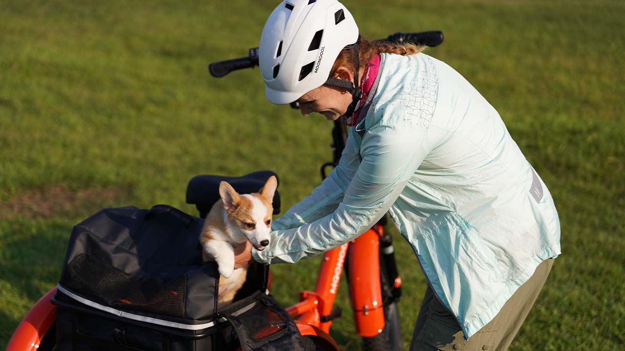 Exploring the Benefits of Electric Trikes