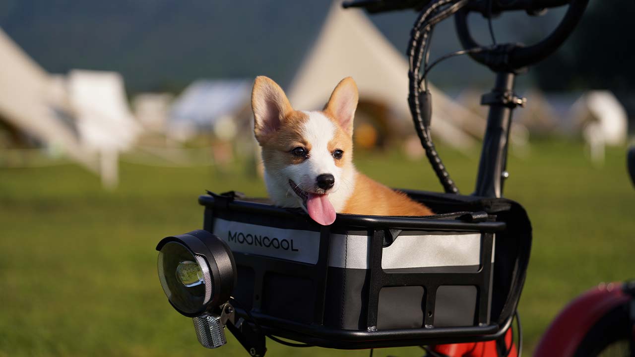 Essential Accessories for Customizing Your Electric Trike