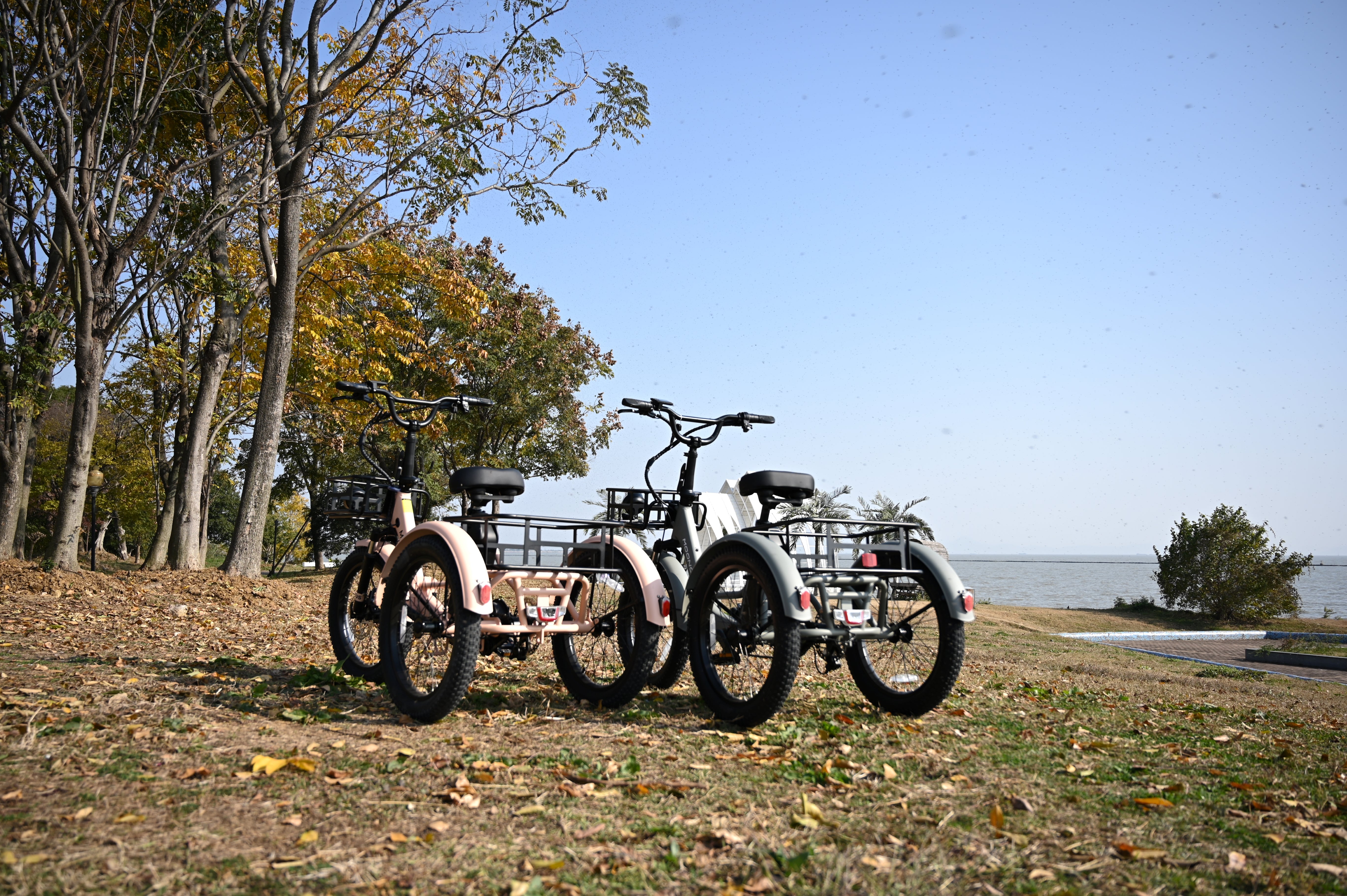 Understanding Your Area's Electric Trike Regulations