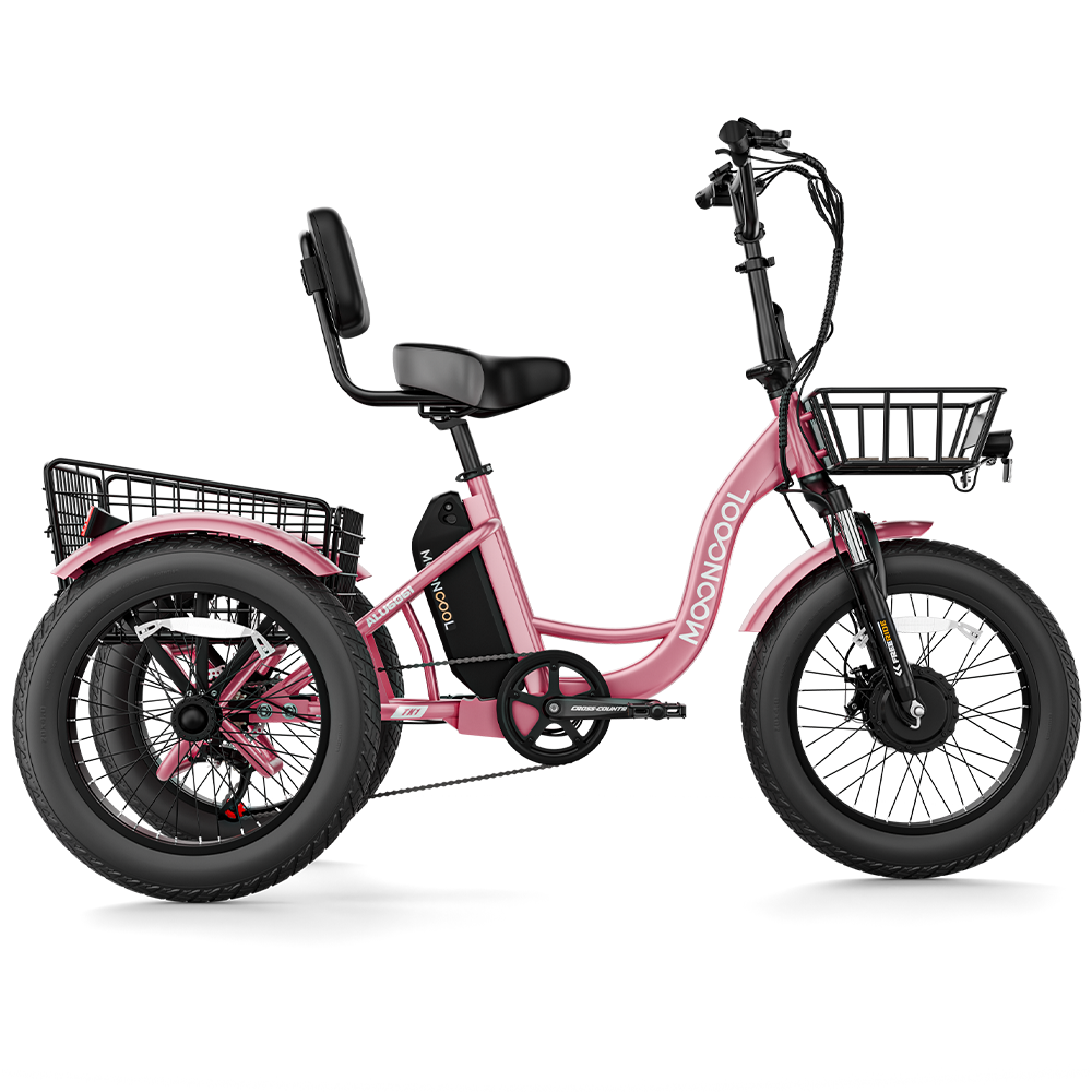 TK1 Fat Tire Electric Trike