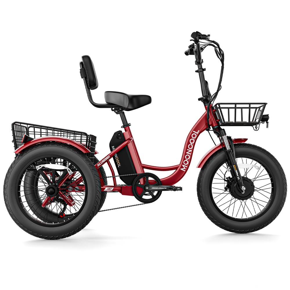 TK1 Fat Tire Electric Trike